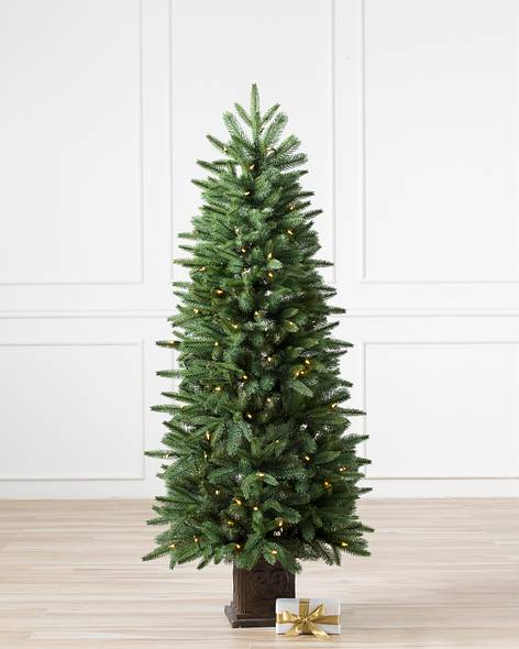 Windsor Potted Spruce Tree-1